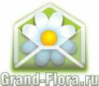 Логотип компании Доставка цветов Гранд Флора (ф-л г.Невель)